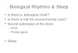 Biological Rhythms & Sleep Is there a biological clock? Is there a role for environmental cues? Neural substrates of the clock –SCN –Pineal gland Sleep