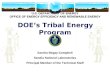 U.S. DEPARTMENT OF ENERGY OFFICE OF ENERGY EFFICIENCY AND RENEWABLE ENERGY U.S. DEPARTMENT OF ENERGY OFFICE OF ENERGY EFFICIENCY AND RENEWABLE ENERGY DOE’s