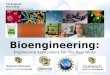 Bioengineering: Engineering Applications For The Real World CU Science Discovery School and Teacher Programs