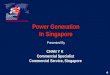 Power Generation In Singapore Presented By CHAN Y K Commercial Specialist Commercial Service, Singapore