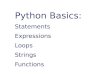 Python Basics: Statements Expressions Loops Strings Functions