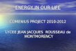 ENERGY IN OUR LIFE COMENIUS PROJECT 2010-2012 LYCEE JEAN JACQUES ROUSSEAU de MONTMORENCY