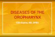 Diseases of the Oropharynx