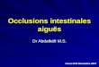 Occlusions intestinales aiguës Dr Abdelkéfi M.S. Cours IFSI Décembre 2007