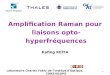 Amplification Raman pour liaisons opto-hyperfréquences Kafing KEÏTA Laboratoire Charles Fabry de lInstitut dOptique,, CNRS/IO/UPS Thales Research & Technology-France