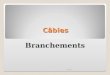 Câbles Branchements 15/01/20141. NF C 33 210 Câble NFC 33 210 Neutre sous plomb Section: 3 x 35 + 35 Aluminium 15/01/20142