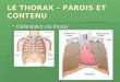 LE THORAX – PAROIS ET CONTENU Délimitation du thorax Délimitation du thorax
