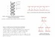 C T A G C T T G A T C G A A Fig1A - Linscription des informations dans lADN "Courtesy: National Human Genome Research Institute." Fig1A - Structure tridimensionnelle