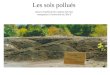 Les sols pollués Sous la Tutelle de M. Ludovic Servant, enseignant à l'université de Lille II