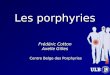 Les porphyries Frédéric Cotton Axelle Gilles Centre Belge des Porphyries