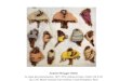 Annette Messager (1943) Le repos des pensionnaires, 1971-1972, plumes et laine, vitrine 154 X 94 cm., Coll. Musée national d art moderne, Centre Pompidou,
