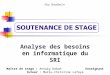 Analyse des besoins en informatique du SRI Guy Baudouin Maître de stage : Annaïg Rabah Enseignant tuteur : Marie-Christine Lafaye