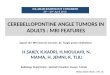 CEREBELLOPONTINE ANGLE TUMORS IN ADULTS : MRI FEATURES H.SAKLY, K.KADRI, H.MOULAHI, N. MAMA, H. JEMNI, K. TLILI 5th ARAB RADIOLOGY CONGRESS 25 th - 28