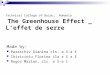 Technical College of Buzau, Romania The Greenhouse Effect _ L’effet de serre Made by: Paraschiv Gianina cls. a X-a E Chiricioiu Florina cla a X a E Rogoz