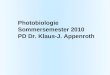 Photobiologie Sommersemester 2010 PD Dr. Klaus-J. Appenroth