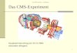 1 Das CMS-Experiment Hauptseminarvortrag am 15.12.2006 Alexander Wiegand