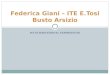 MY INTERNATIONAL EXPERIENCES Federica Giani – ITE E.Tosi Busto Arsizio
