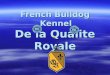 French Bulldog Kennel De la Qualite Royale. Wohnen wie auf dem Land und alle Vorteile der Großstadt Living a country life, but enjoy the advantage of