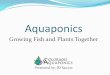 Aquaponics: Growing Fish and Plants Together - Colorado Aquaponics