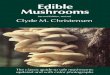 Edible Mushrooms, 2nd Edition