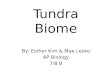 Tundra AP Bio