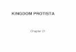 Kingdom Protista (English Version)