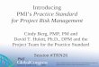 Practice Standard for Project Risk Management Development and Content