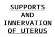 Supports & Innervation of Uterus