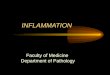 Pathology, Chapter 3, Inflammation (slides)
