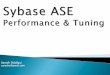 Sybase ASE PNT Tools