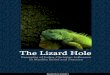Lizard Hole