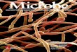 Microbe magazine