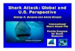 Shark Attack Info PPT