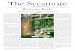 The Sycamore Issue 3