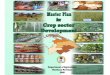 Master Plan for Agriculture Dev Sector, Northern Province,Srilanka