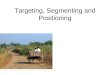 Targeting, Segmenting and Positioning in Rural Marketing