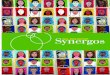 Synergos 2004-2005 Anual Report