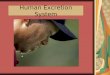Human Excretion System