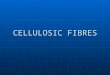 Cellulosic Fibres