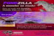 Pondzilla Flyer- Team Aquafix, Inc