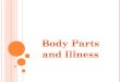 Intermediate Level Body Parts and Illness