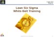 Lean Six Sigma Overview - White Belt Training