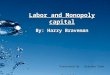 S05a - Labour and Monopoly Capital
