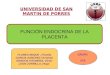 Fx Endocrina de La Placenta