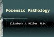Forensic Pathology - Dr