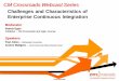Enterprise Continuous Integration Presentation