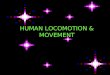 HUMAN LOCOMOTION AND MOVEMENT