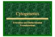 Cytogenetics Lesson 2