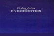 Atlas de Endodontie - COLOR