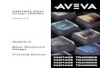 AVEVA - Basic Steelwork Design